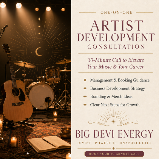 Artist Development Consultation